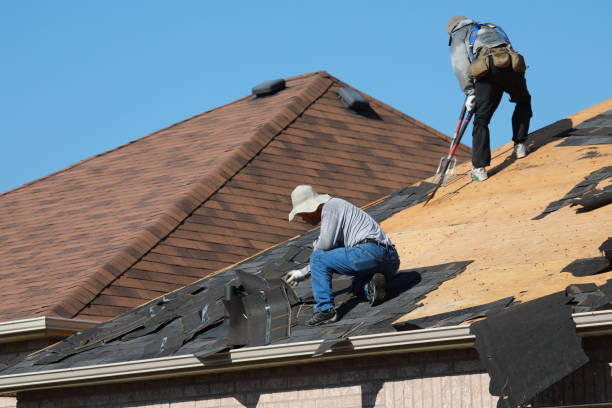 Best Roof Waterproofing  in Hayneville, AL