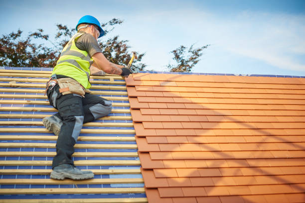 Best Roof Maintenance and Cleaning  in Hayneville, AL